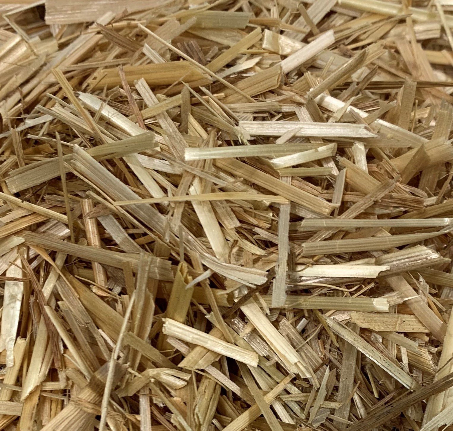 Chopped Oaten Straw