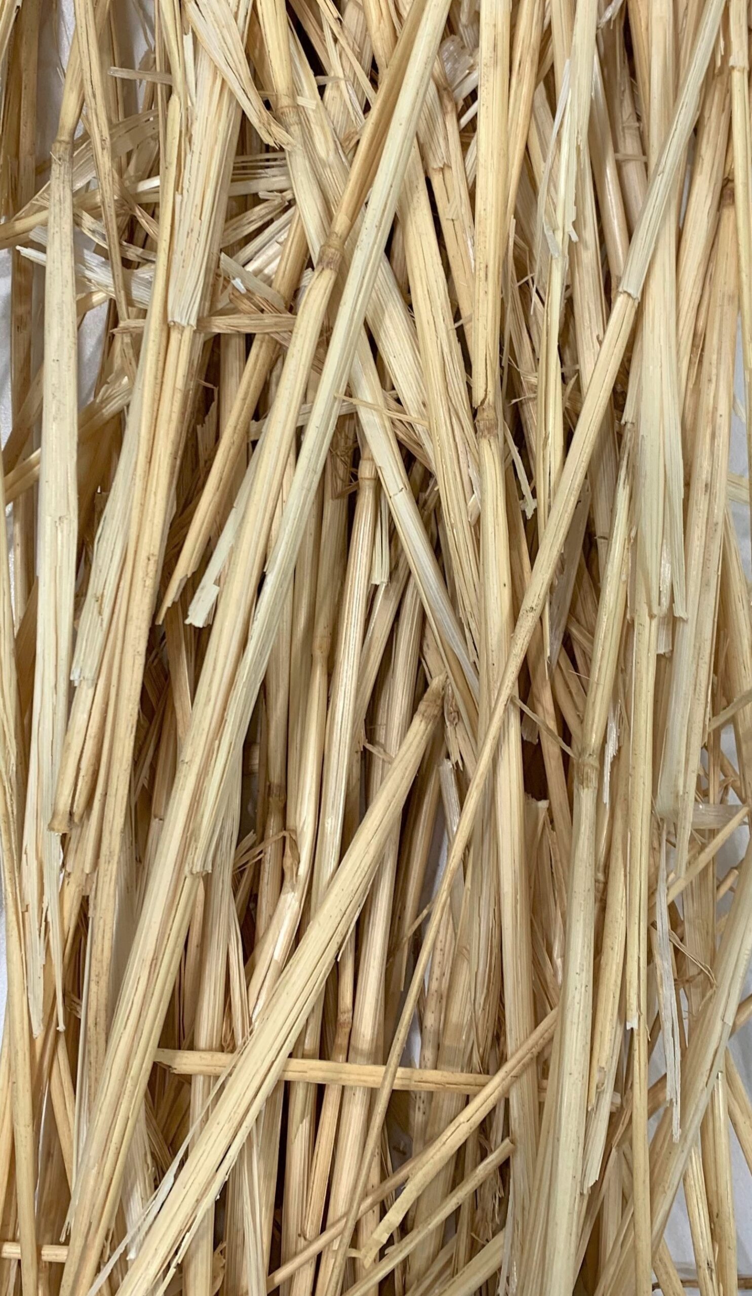 Horse Bedding Straw